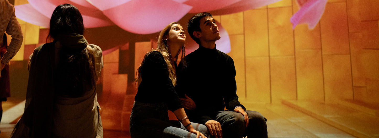 Tutanchamun - das immersive Ausstellungserlebnis