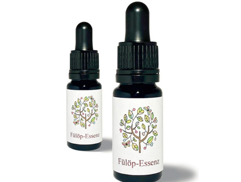Fülop Essenzen - Praxis für Kinesiologie