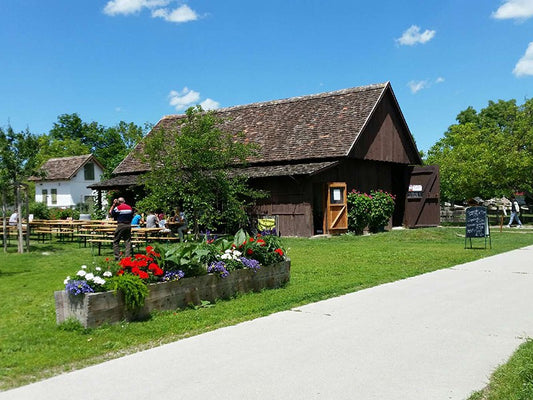 Palmenhaus Kulinarik