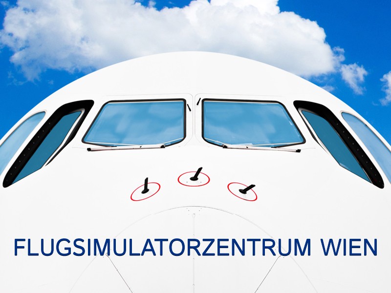 ViennaFlight Flightsimulation & Flighttraining OG